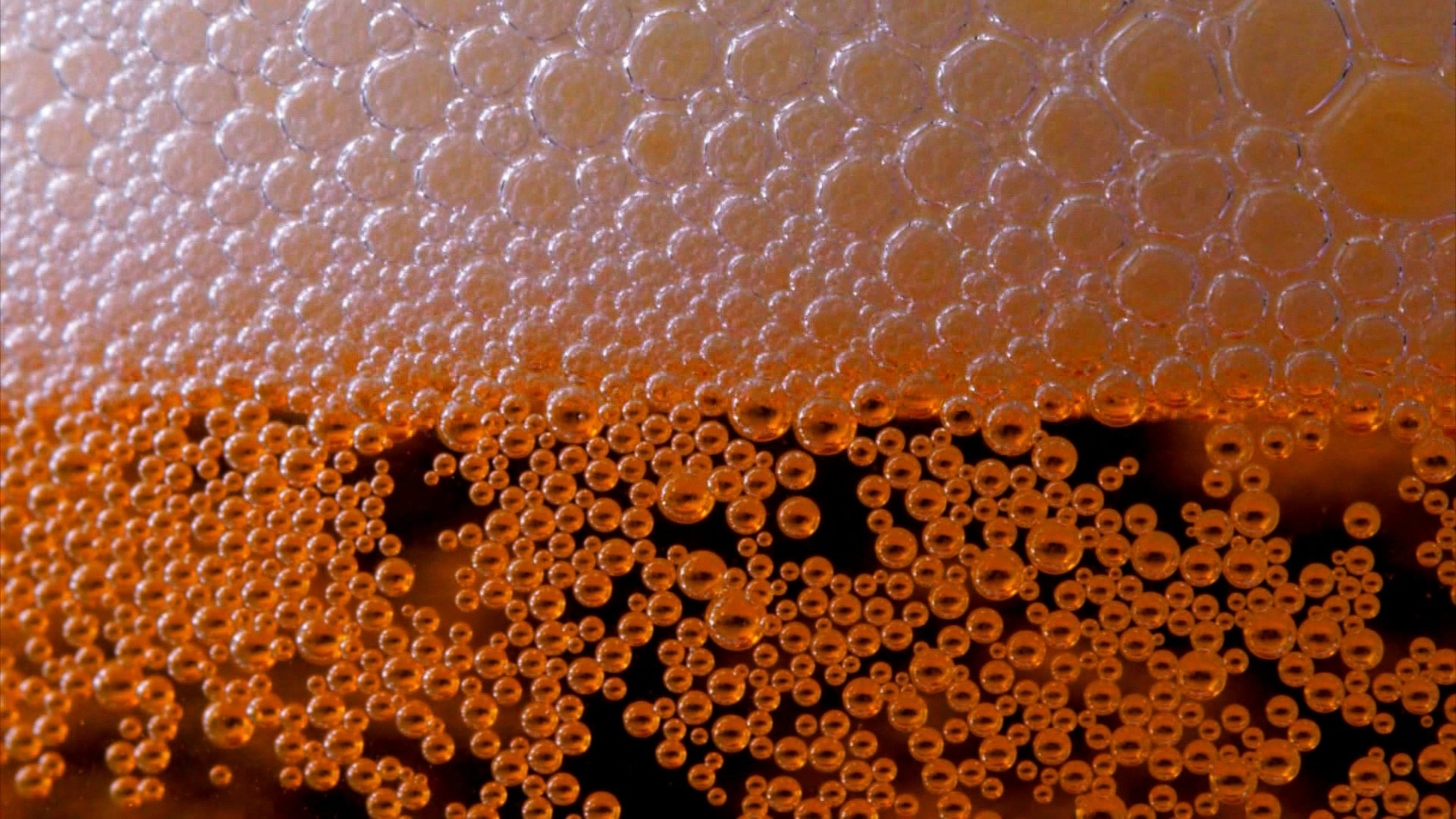 The Science Behind the Fizz