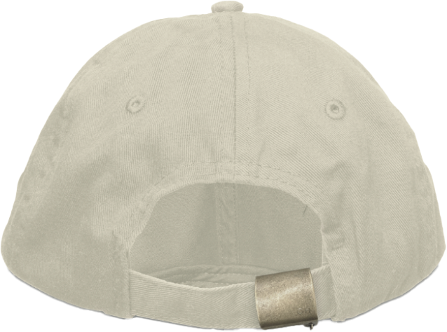 Neat dad hat - Dr. Neat flavor